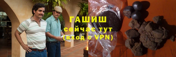 хмурый Алексин