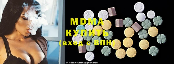 хмурый Алексин