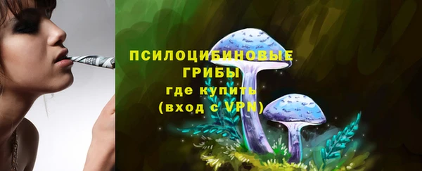 хмурый Алексин