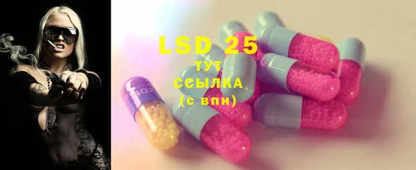хмурый Алексин