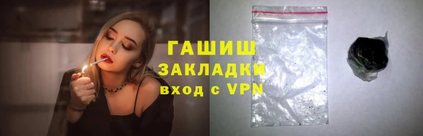 хмурый Алексин