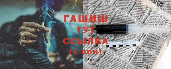 хмурый Алексин