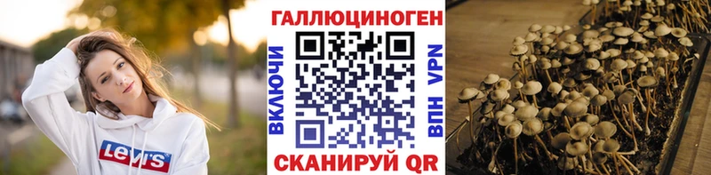 Галлюциногенные грибы Magic Shrooms ОМГ ОМГ tor Павловский Посад